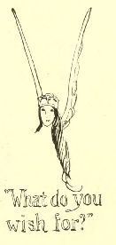 “What do you
wish for?”