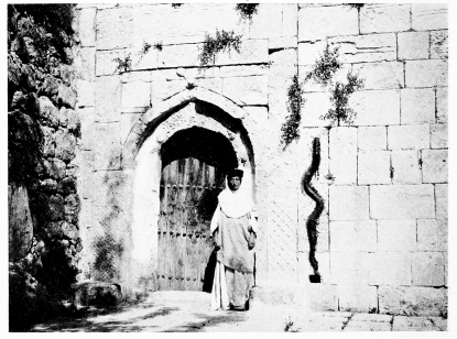 Fig. 178.&mdash;THE KHÂTÛN AT THE DOOR OF SHEIKH ’ADÎ.