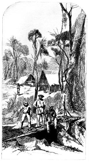 Image unavailable: SCENES AT EL DORADO&mdash;(From a photograph.)