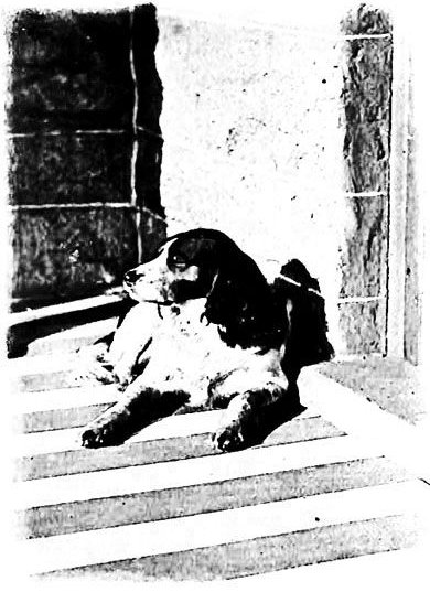 &ldquo;CHARLIE&rdquo;