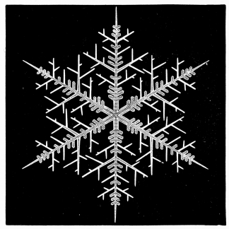 [Image unavailable.]