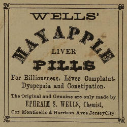 Advert text: WELLS’ MAY APPLE LIVER PILLS For Biliousness, Liver Complaint, Dyspepsia and Constipation. The Original and Genuine are only made by
EPHRAIM S. WELLS, Chemist, Cor. Monticello & Harrison Aves. Jersey City.