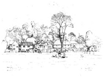 Image unavailable: RIPLEY&middot;