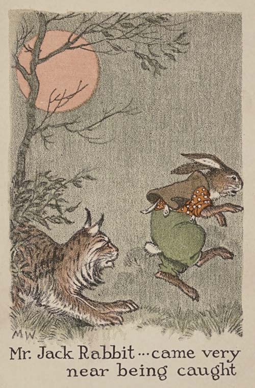 Mr. Jack Rabbit came very
near being caught