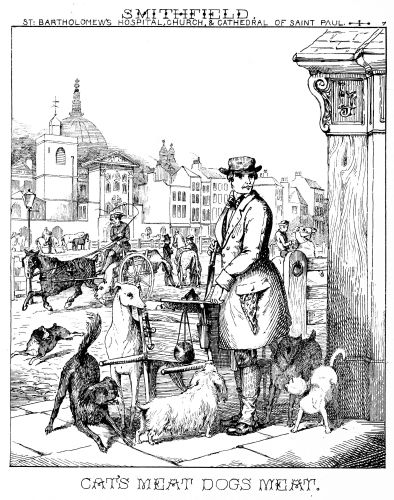 [Image unavailable: SMITHFIELD.

ST. BARTHOLOMEW’S HOSPITAL, CHURCH, & CATHEDRAL OF SAINT PAUL.

CAT’S MEAT DOGS MEAT.]