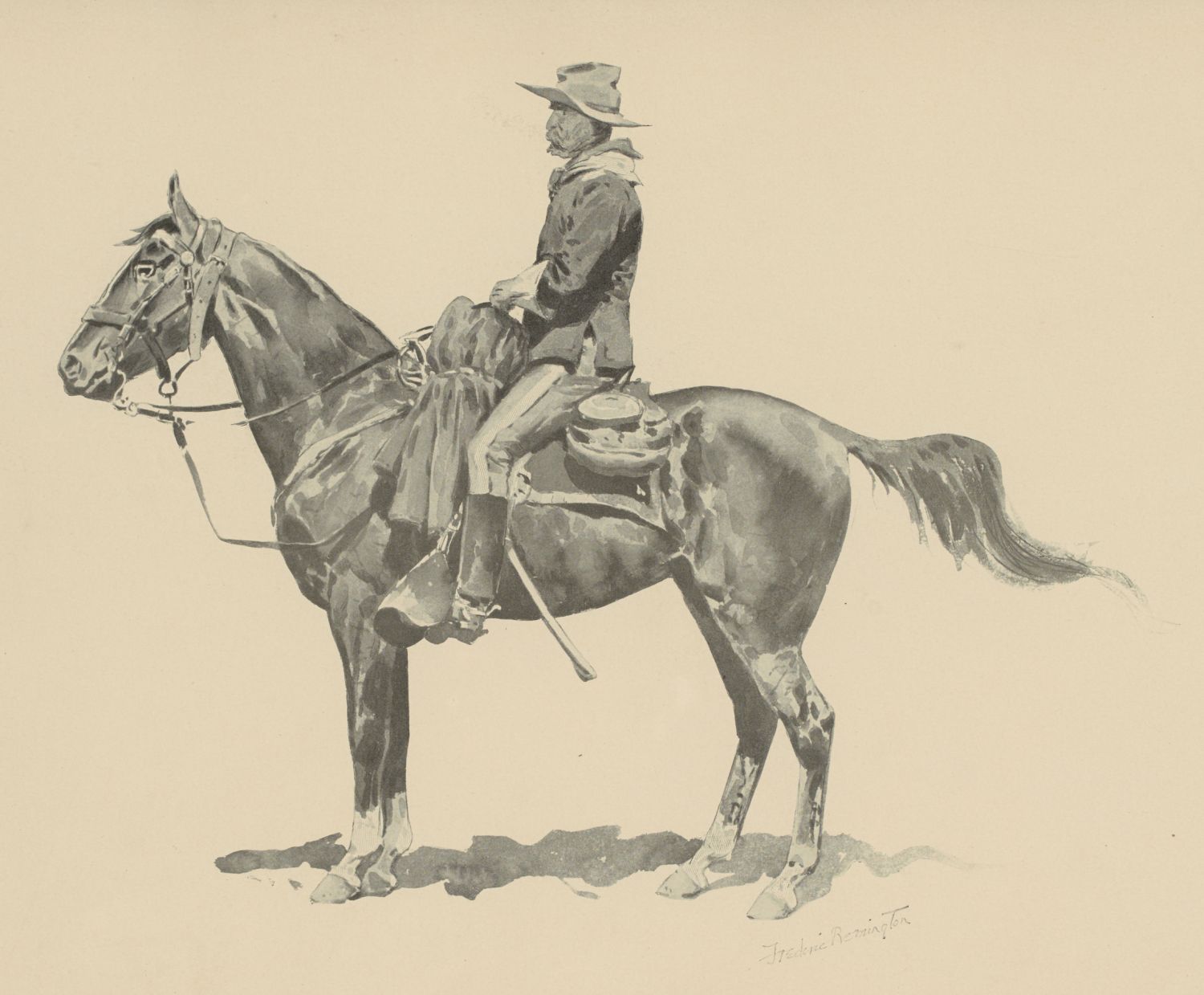 [Image unavailable.]