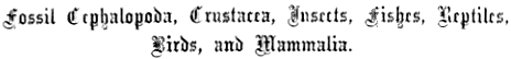 Fossil Cephalopoda, Crustacea, Insects, Fishes Reptiles,
Birds, and Mammalia.