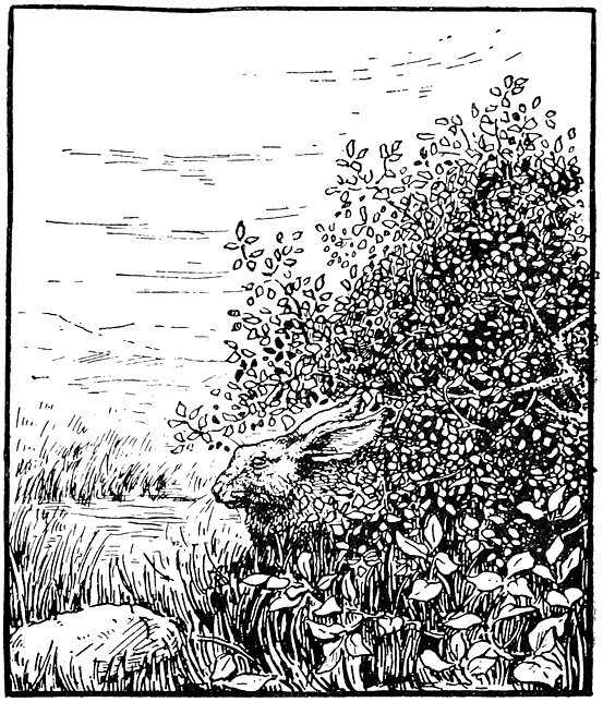 ... „Toe hy so lekker op ’n warm dag onder die koel bossie l�..