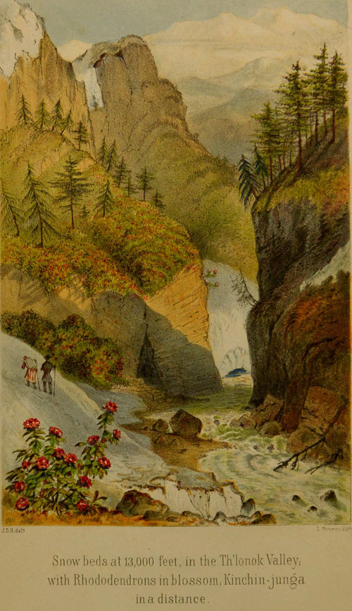 View of
Kinchinjunga from Singtam, looking north-westward