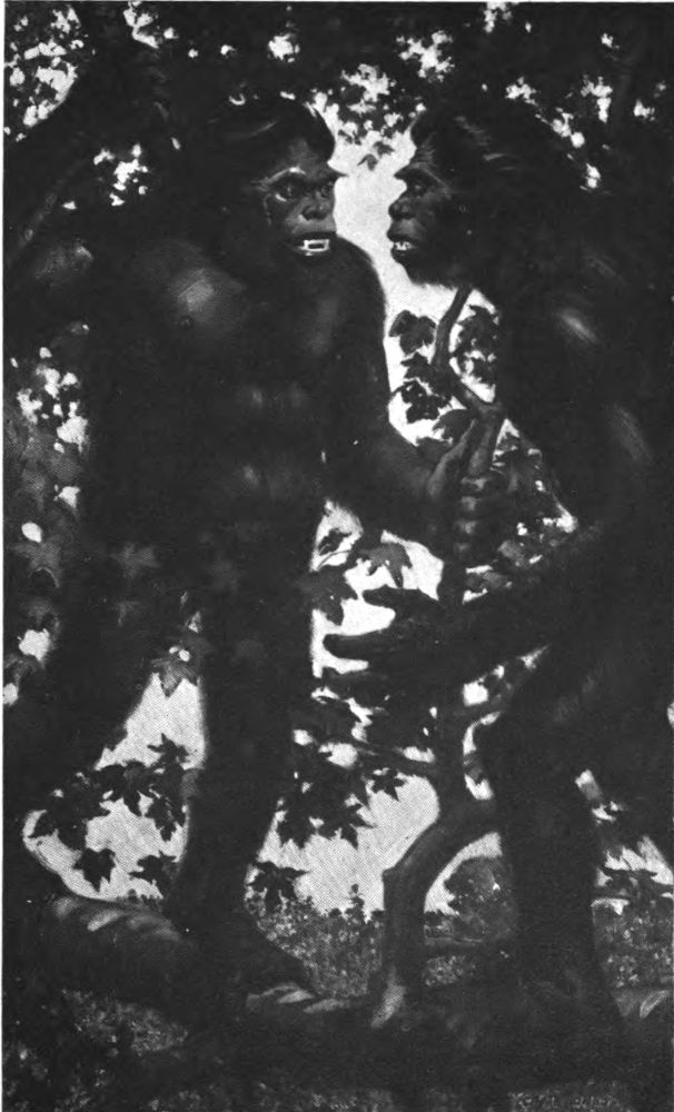 His eyes were flaming and his teeth shone white.... We
were alone to fight it out.