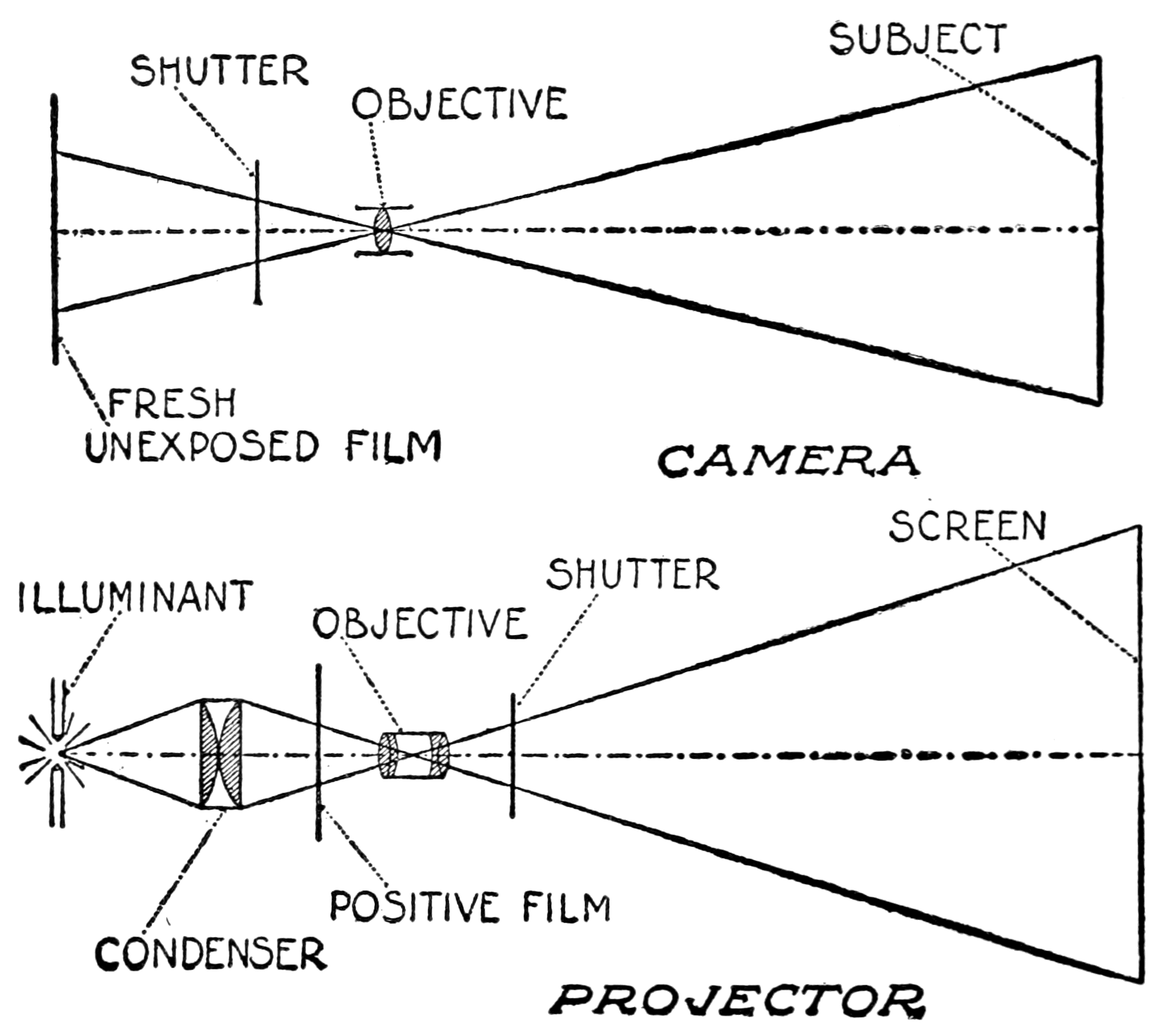 Camera: Shutter; Objective; Subject; Fresh Unexposed Film. 
Projector: Illuinant; Condenser; Positive film; Objective; Shutter; Screen