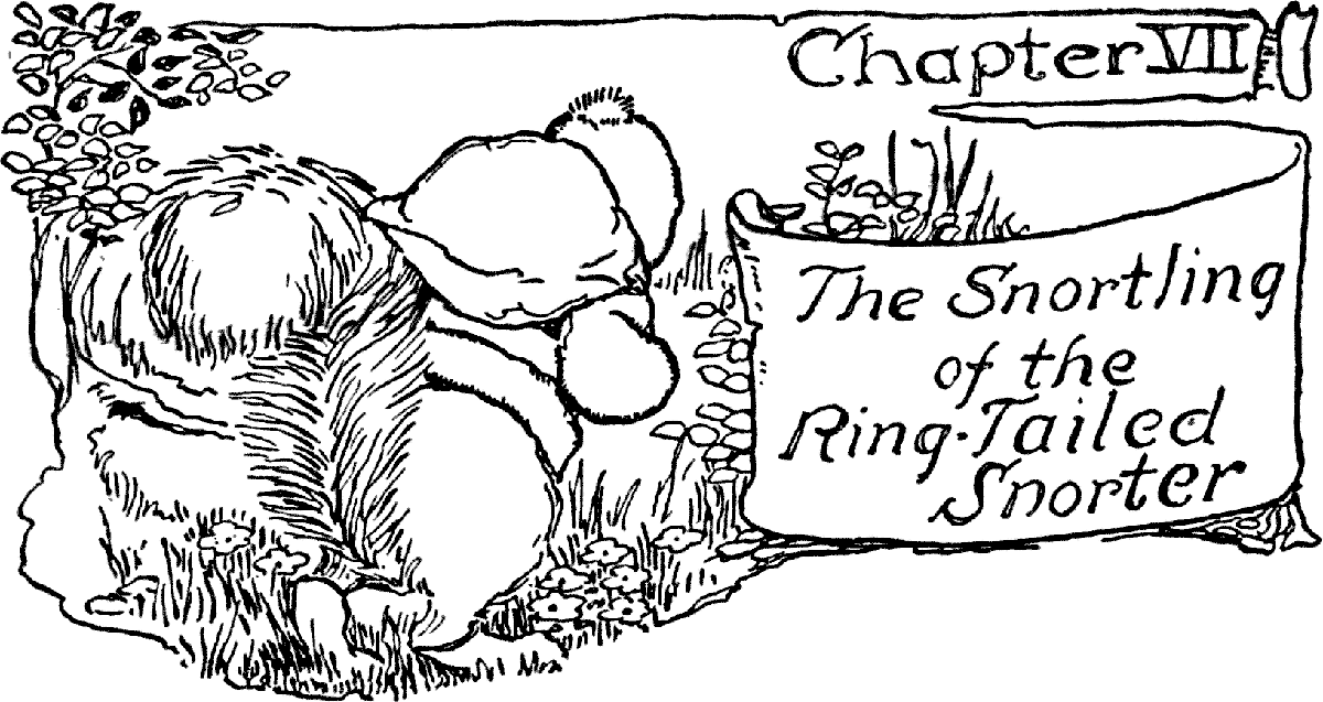 Chapter VII
The Snortling of the Ring-Tailed Snorter