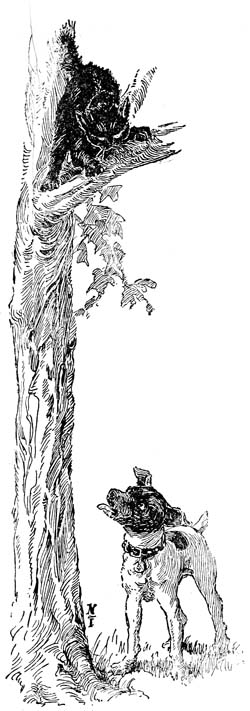 Ha! Ha! I’m sure the cat
must have laughed.