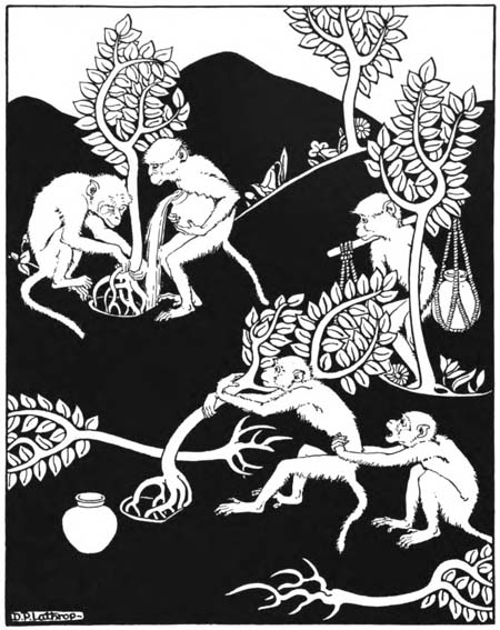 When you water the young trees, pull them up by the
roots, every one.