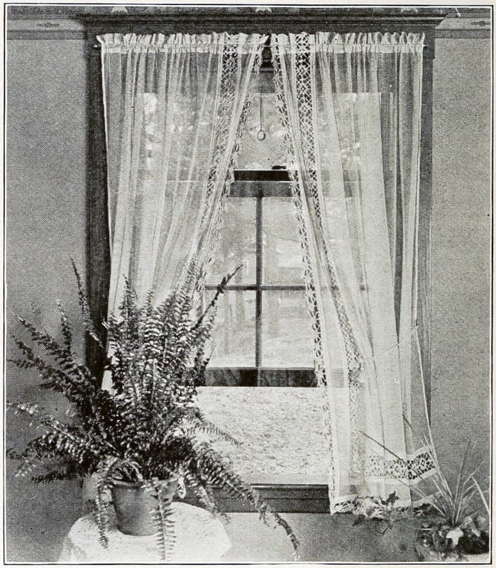 A plant by an ajar
window with open curtains