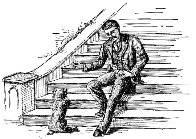  I
sit on the stoop in the sunlight