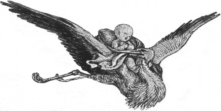 Baby auf dem fliegenden
  Storch