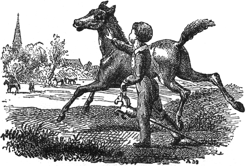 Lithographie aus 'Noch
  50 Fabeln'