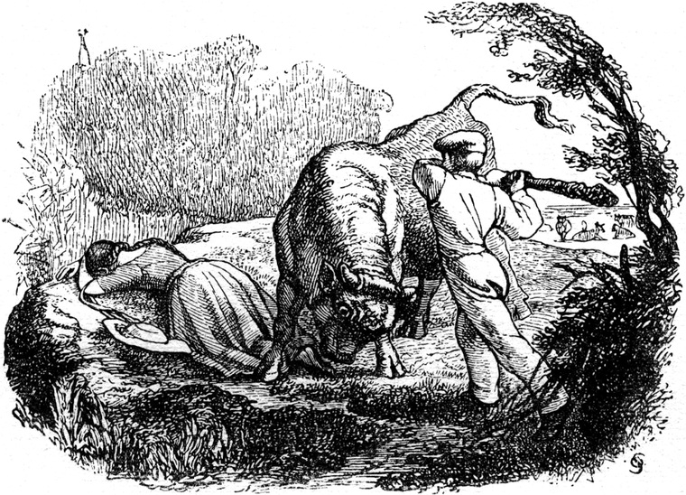 Aus dem
  'Quickborn'