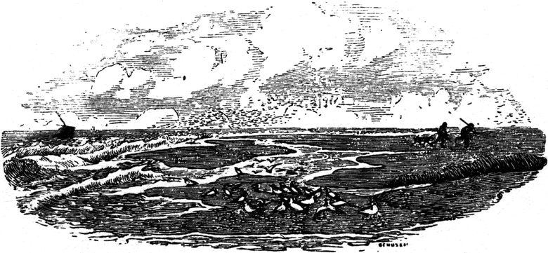 Aus dem
  'Quickborn'