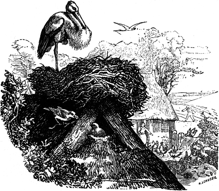 Aus dem
  'Quickborn'