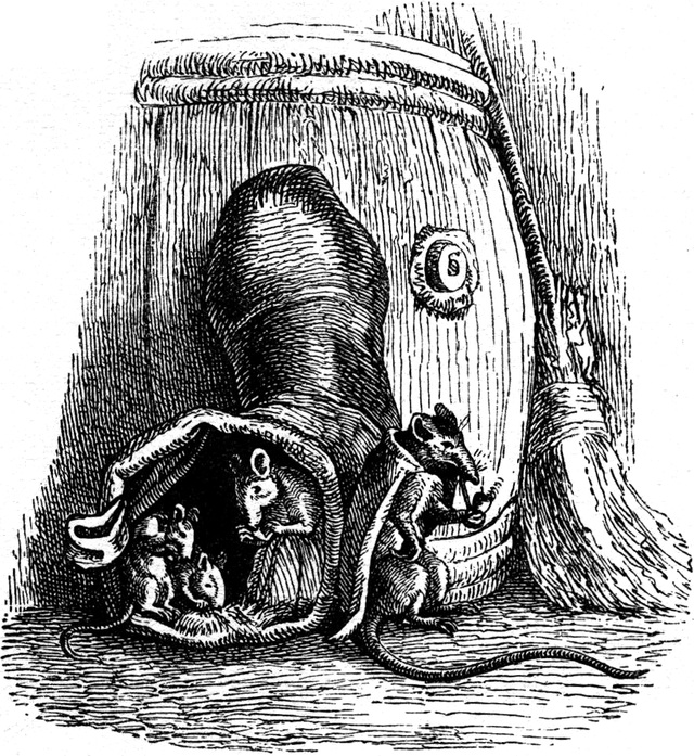 Aus 'Hausmäuschen und
  Feldmäuschen'