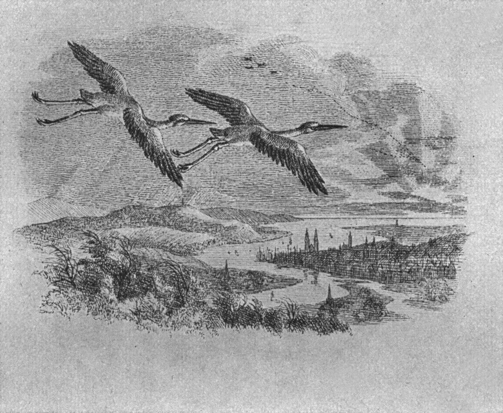 Lithographie aus den
  Fabeln