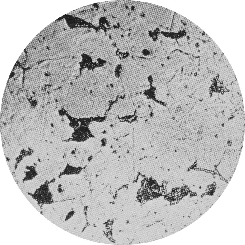The magnified cross-section of a hypo-eutectoid
                steel bar shows dark pearlite inclusions in a
                light-colored ferrite structure.