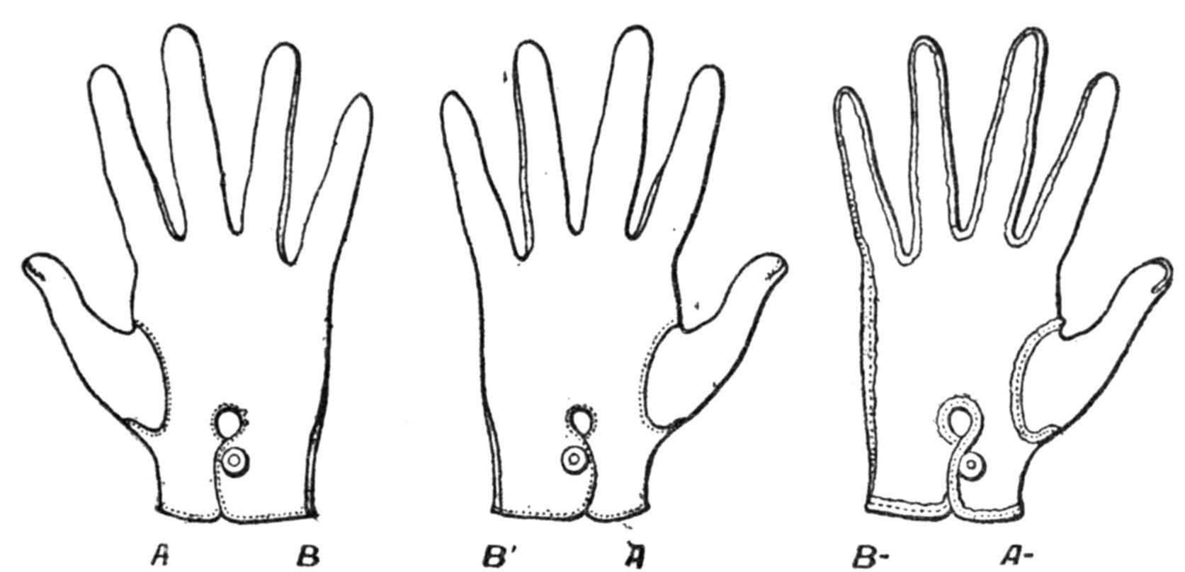 In space of three dimensions we cannot make a right hand glove and
a left hand glove look the same no matter how we turn them around.