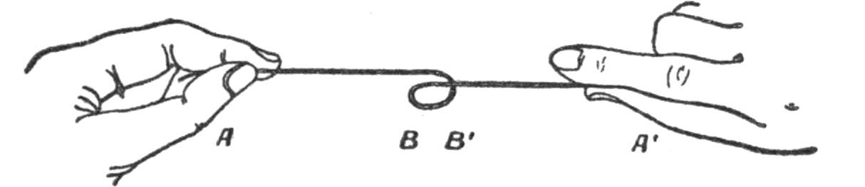 A string displayed in three dimensions.