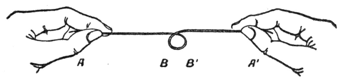 A string displayed with a loop.