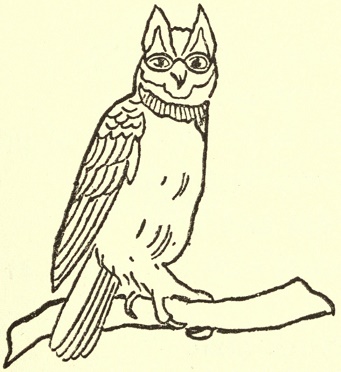 An owl