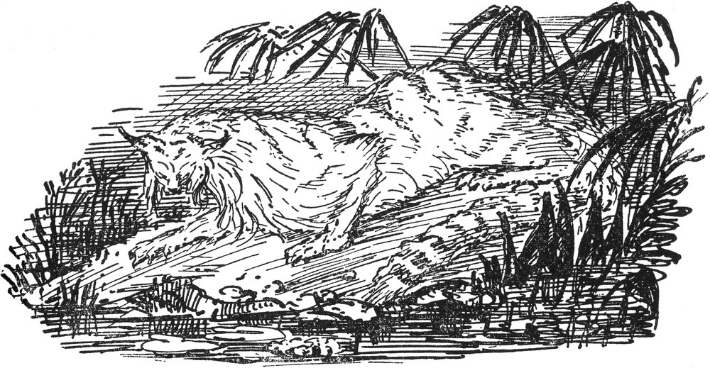 Ein persischer Tiger im
  Gebüsch