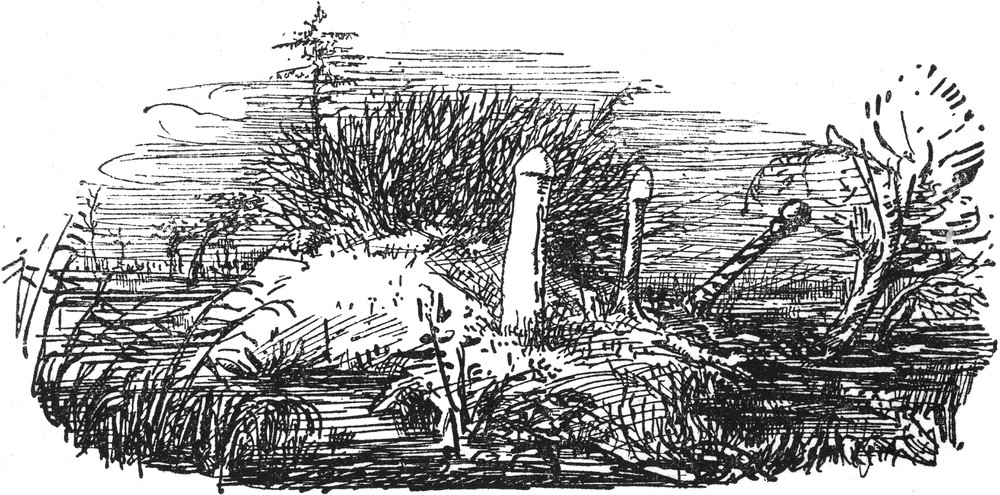 Ein unheimlicher Ort an
  einem Sumpf