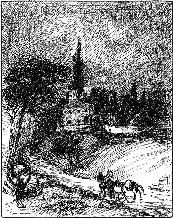 Unterwegs mit Reitpferd und
  Lasttier