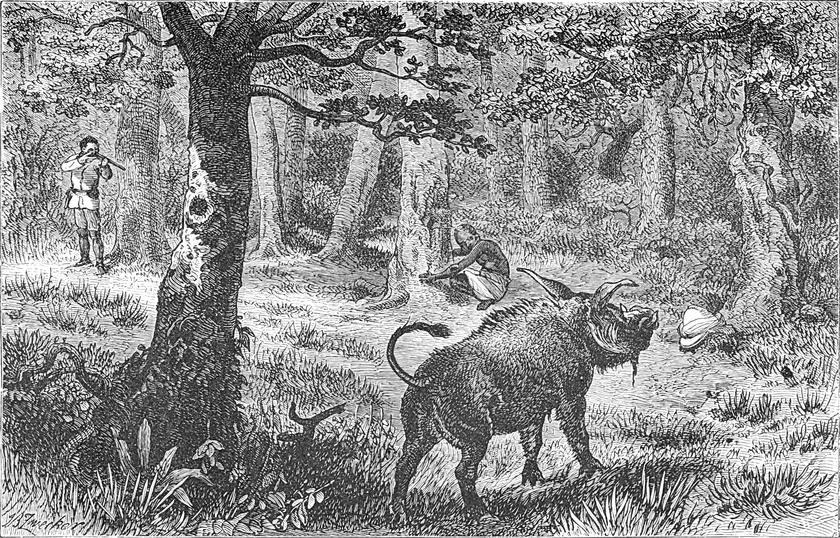 Der Autor schießt im
  Wald auf einen Eber