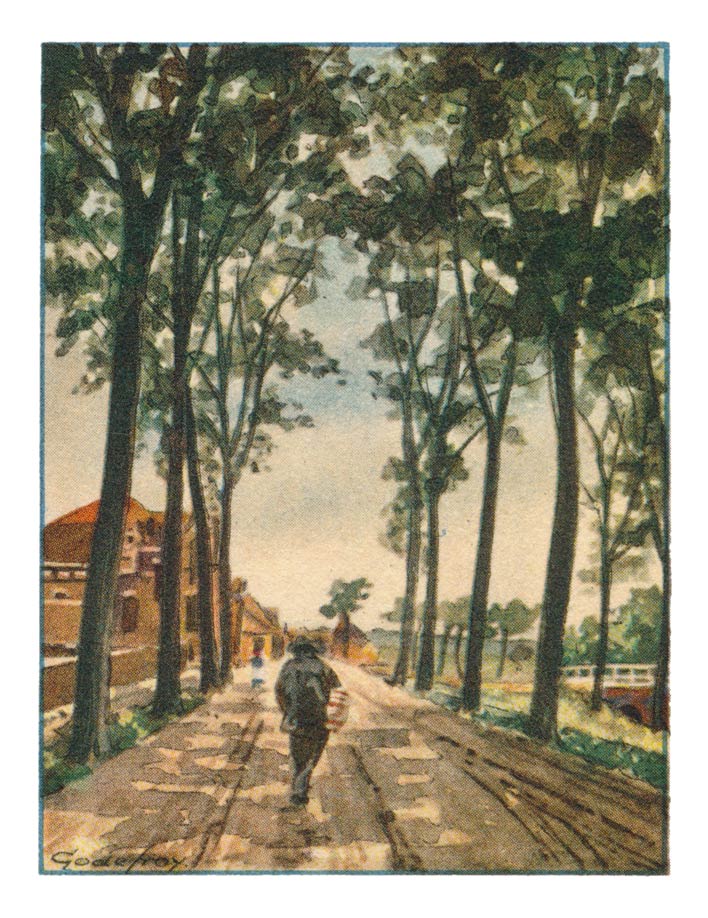 36. ZUID-BEIJERLAND, Oosteinde