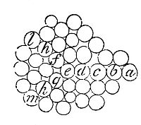 A pressure is
not propagated through a fluid in rectilinear directions unless where
the particles of the fluid lie in a right line.