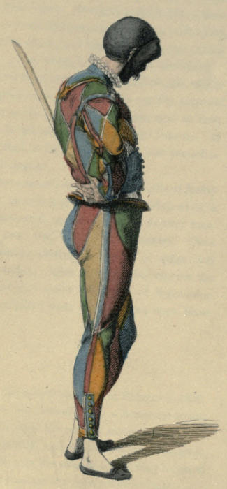 Illustration of Harlequin