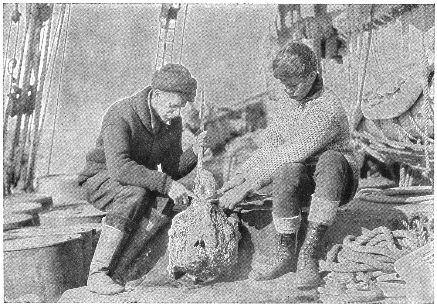 Harry Raven, die Dierkundige, leer my om die kopbeen van ’n Narwal skoon te maak